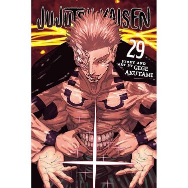 תמונה של ג'וג'וטסו קאיסן - JUJUTSU KAISEN VOL 29
