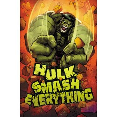 תמונה של HULK SMASH EVERYTHING TP