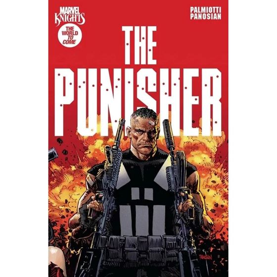 תמונה של MARVEL KNIGHTS THE PUNISHER TP